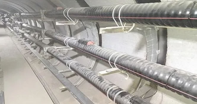 �����|�l(f��)�����ϳ�Ҋ��ԭ������Щ��