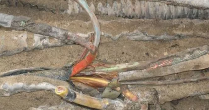 ��|��Ƥ��늸��g