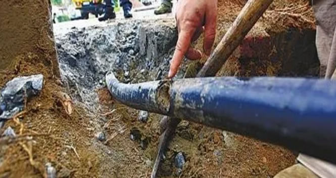 ���W(xu��)���g