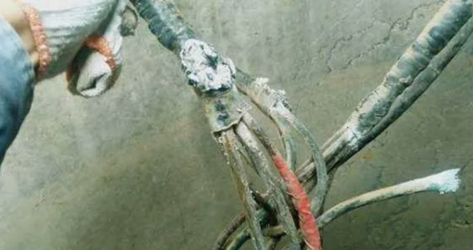 �L(zh��ng)���^ؓ(f��)���\(y��n)��