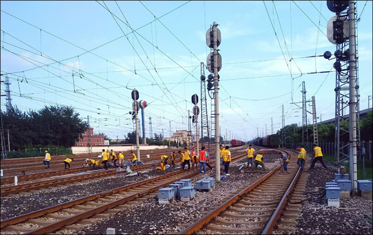 �F·��̖(h��o)��|����