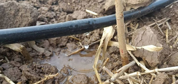 �Д�����c(di��n)�c�y(c��)ԇ�c(di��n)�ľ��x